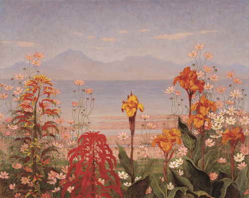 髙島野十郎《秋の花々》