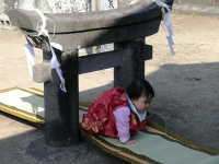 粟島神社大祭