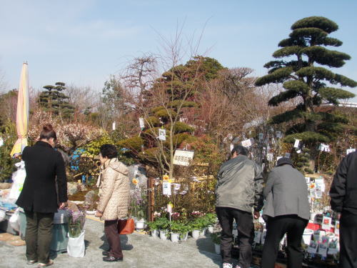 久留米植木まつり