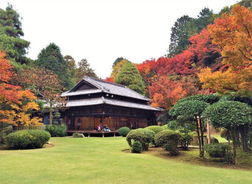 麻生大浦荘　紅葉