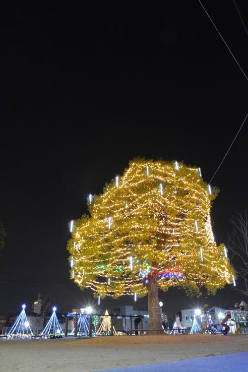 甘木中央公園のイルミネーション