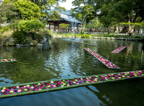 THE FLOWER BOX EXHIBITION IN DAZAIFU