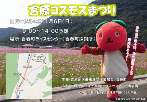 宮原コスモスまつり