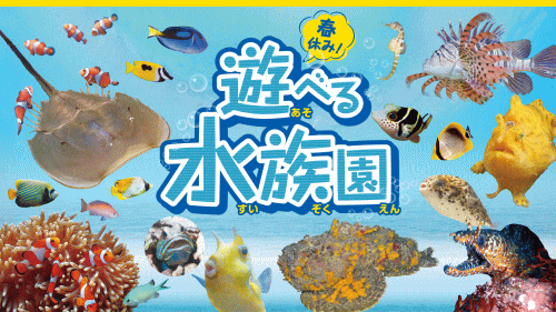 春休み！遊べる水族園