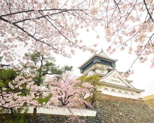 小倉城の桜