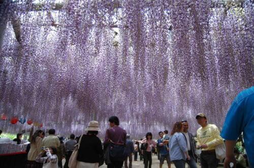 吉祥寺のフジ