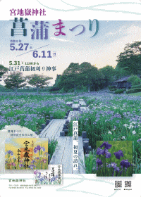 宮地嶽神社 菖蒲まつり