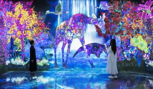 チームラボフォレスト福岡「秋の景色に」