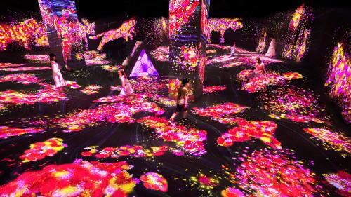 チームラボフォレスト福岡「秋の景色に」