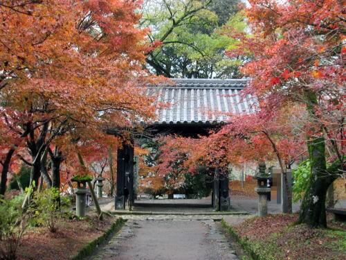 秋月城跡「黒門」の紅葉