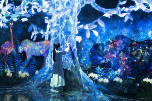 チームラボフォレスト福岡「冬の景色」