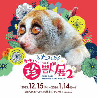 ナニコレ？！かわいい珍獣展２