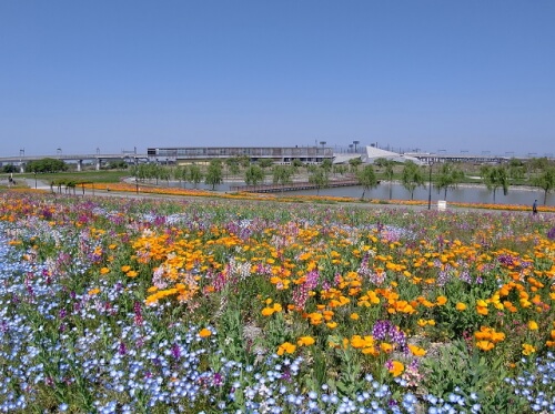 筑後広域公園