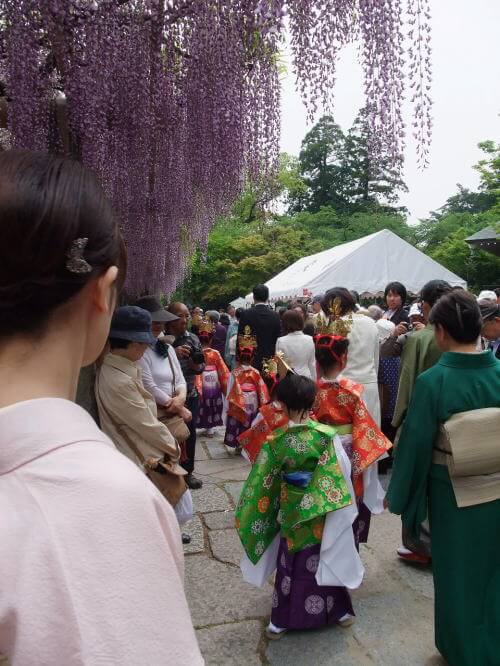 筑紫野市祭「二日市温泉藤まつり」