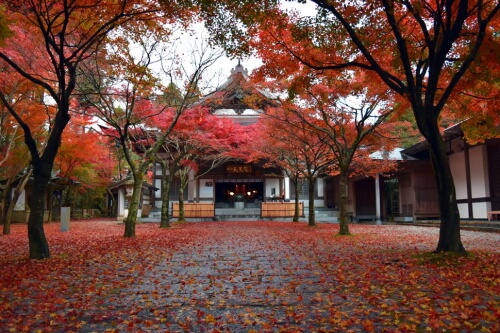 呑山観音寺の紅葉