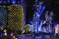 まちなかイルミネーション大作戦