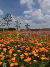筑後広域公園