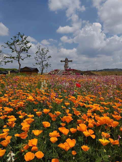 筑後広域公園