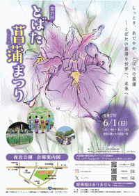 第37回とばた菖蒲まつり