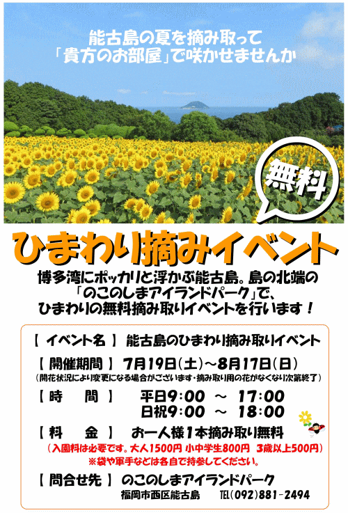 のこのしまアイランドパーク ひまわり摘み取りイベント