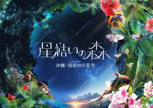 福岡市科学館 星結いの森-沖縄・国頭村の星空-