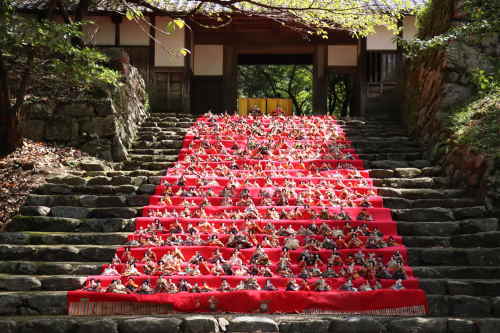 秋月長屋門前の雛飾り