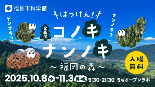 福岡市科学館 企画展「はっけん！コノキナンノキ～福岡の森～」