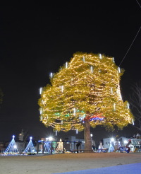 甘木中央公園のイルミネーション