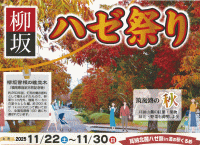 柳坂ハゼ祭り
