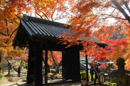 水彩画　ジクレー版画「秋月城跡 黒門の紅葉」（朝倉市） 紅葉の秋月城跡 黒門[25516032763]の写真・イラスト素材｜アマナ