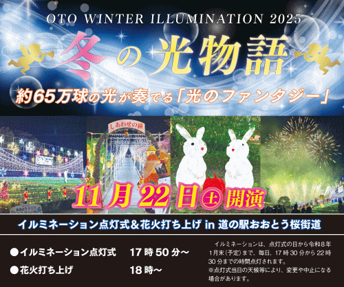 道の駅おおとう桜街道 イルミネーション点灯式・花火打上