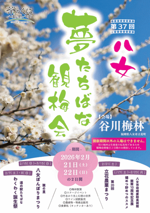 第37回夢たちばな観梅会