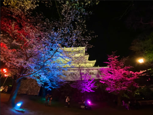 小倉城の夜桜
