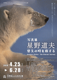 大野城心のふるさと館「写真展　星野道夫　悠久の時を旅する」