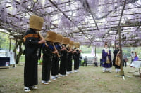 定禅寺フジまつり
