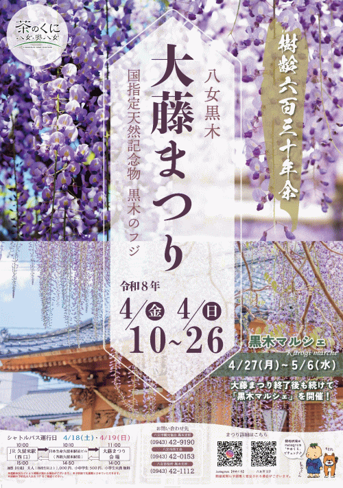 八女黒木大藤まつり