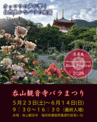呑山観音寺 バラまつり