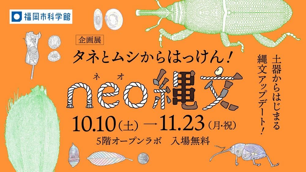 福岡市科学館 企画展「タネとムシからはっけん！neo縄文」