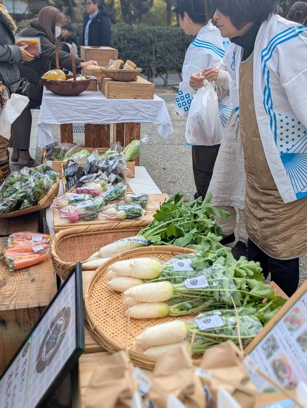 世界遺産宗像 宗像みあれ芸術祭2026