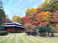 麻生大浦荘の紅葉