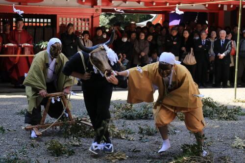 霧島神宮斎田御田植祭