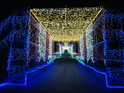 かのやばら園クリスマスファンタジーナイト21 鹿児島のイベント 祭り ふくおかサポートねっと