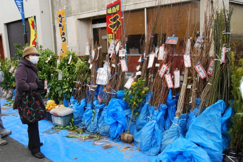 くしら二十三や市