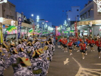 串木野さのさ祭り