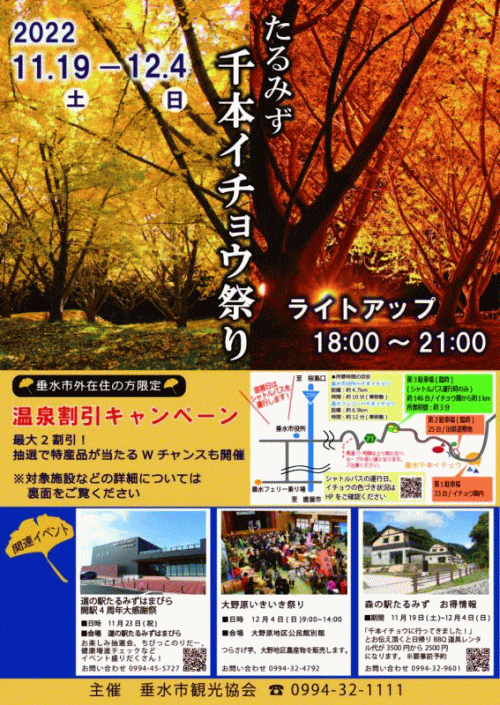 垂水千本イチョウ祭り　ライトアップ<