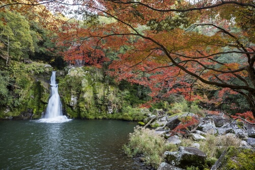 観音滝公園の紅葉