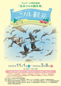 出水のツル観光（ツル観察センター オープン）