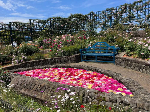 エコパーク水俣バラ園