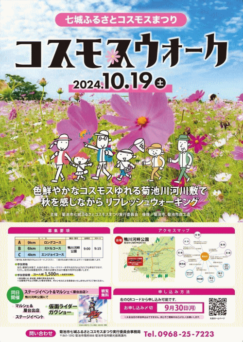 七城ふるさとコスモスまつり　コスモスウォーク