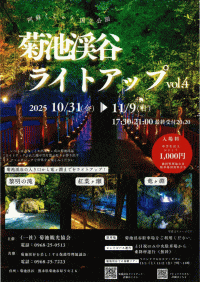 菊池渓谷ライトアップ